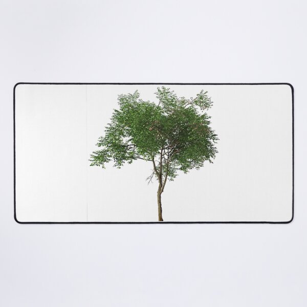 Item preview, Tree canopy designed and sold by Adriano Carrideo.