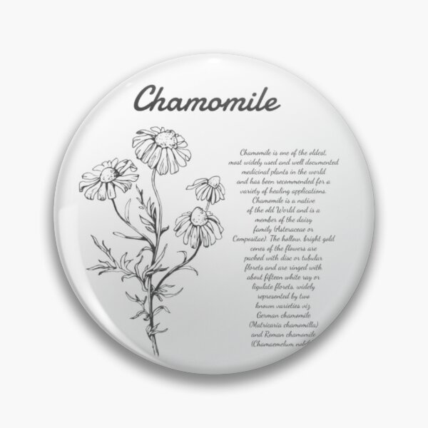Aperçu de l'œuvre Fleur de camomille créée et vendue par SenseQuotes.
