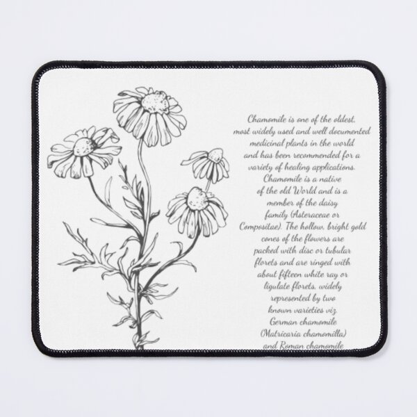 Item preview, Chamomile Flower designed and sold by SenseQuotes.