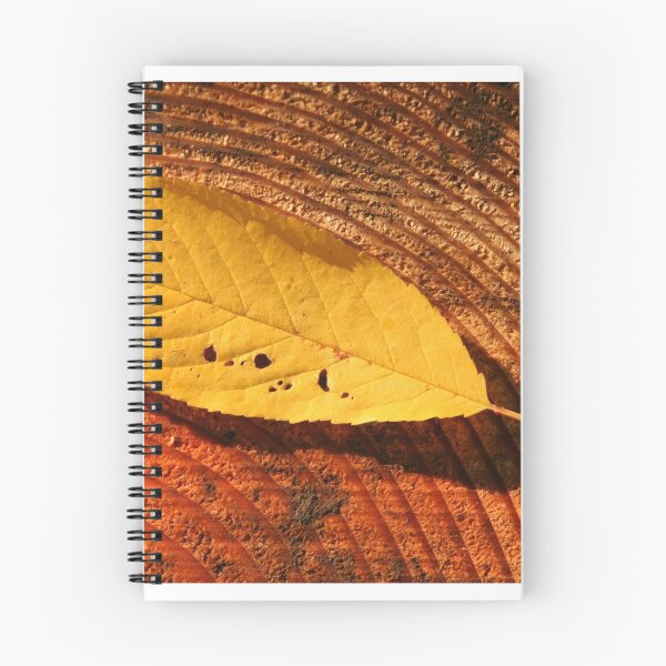 Item preview, Fallen Fall Leaf designed and sold by Captures Of Creation.