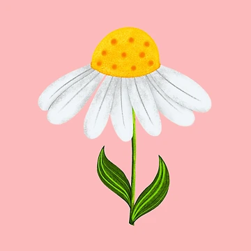 Artwork thumbnail, Daisy by RathiDesigns