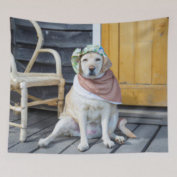 Item preview, Old granny Labrador Retreiver  designed and sold by Bakesales.