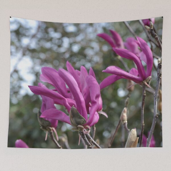 Item preview, Magnolias in the wind designed and sold by lizdomett.