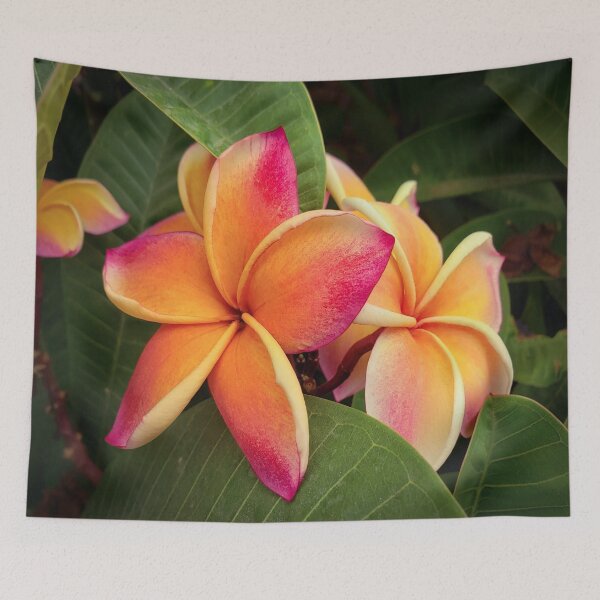 Item preview, Tropical Flowers  designed and sold by Julia McMullen.