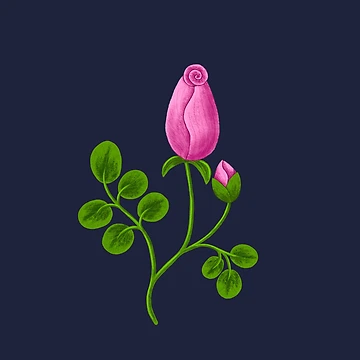 Artwork thumbnail, Cozy Rose by RathiDesigns