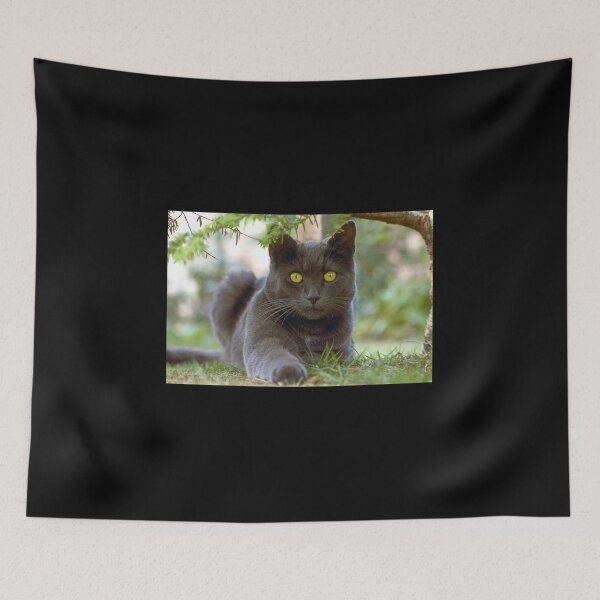 Item preview, Smokey the cat [FluxLimbo] designed and sold by FluxLimbo.