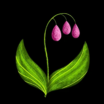 Artwork thumbnail, Flower Drops by RathiDesigns
