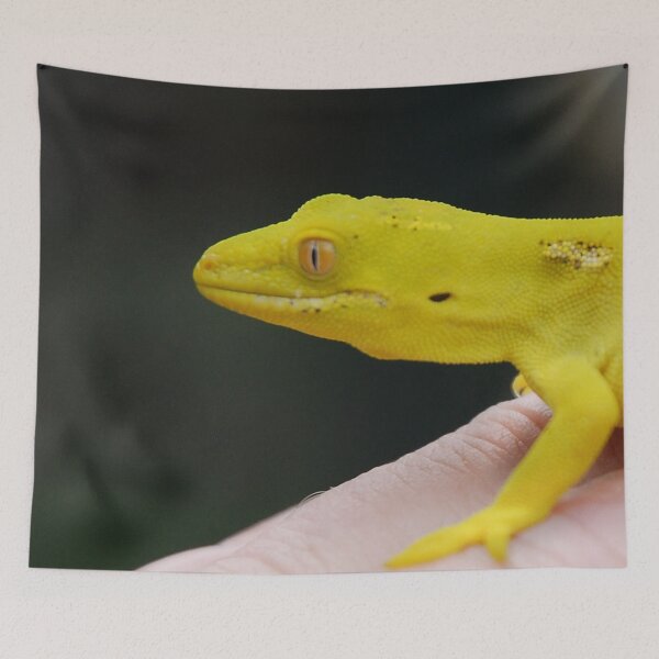 Item preview, Yellow Gecko- Close-up designed and sold by lizdomett.