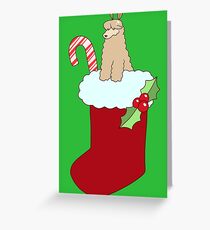 Stocking Alpaca Greeting Card