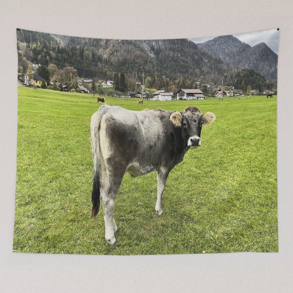 Item preview, Tyrolean Grey Cow  designed and sold by Londonimages.