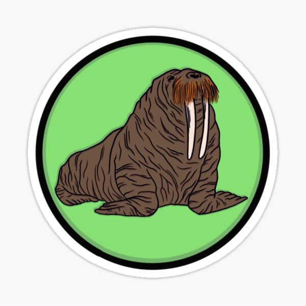 Item preview, Realistic Walrus  designed and sold by groovygreengal.