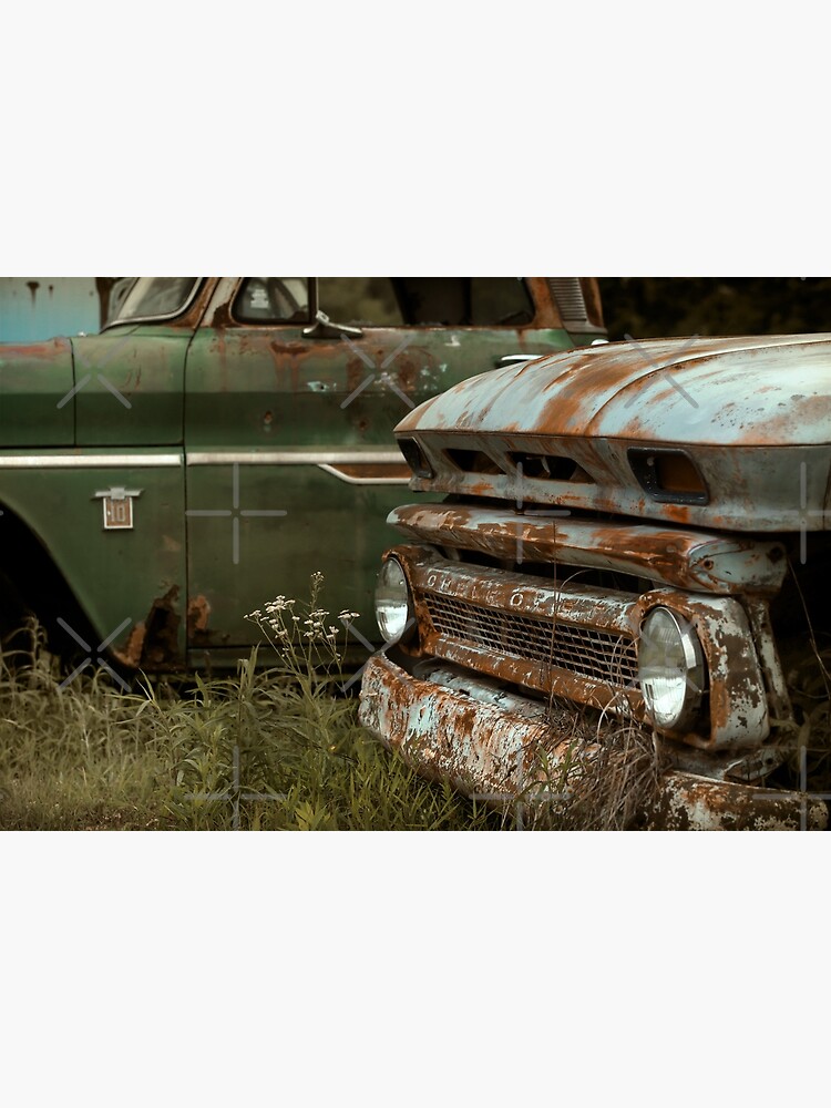 Abandoned 1965 Chevy C-10 - Retired Brothers by mal-photography