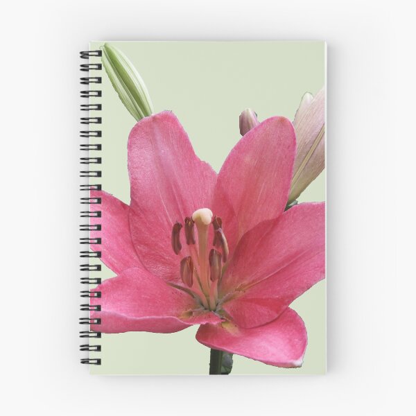 Item preview, Lilium designed and sold by indiafrankk.