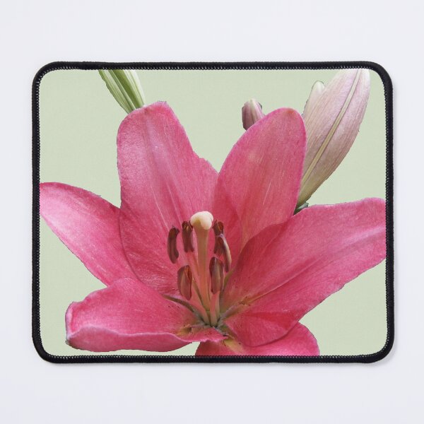 Item preview, Lilium designed and sold by indiafrankk.