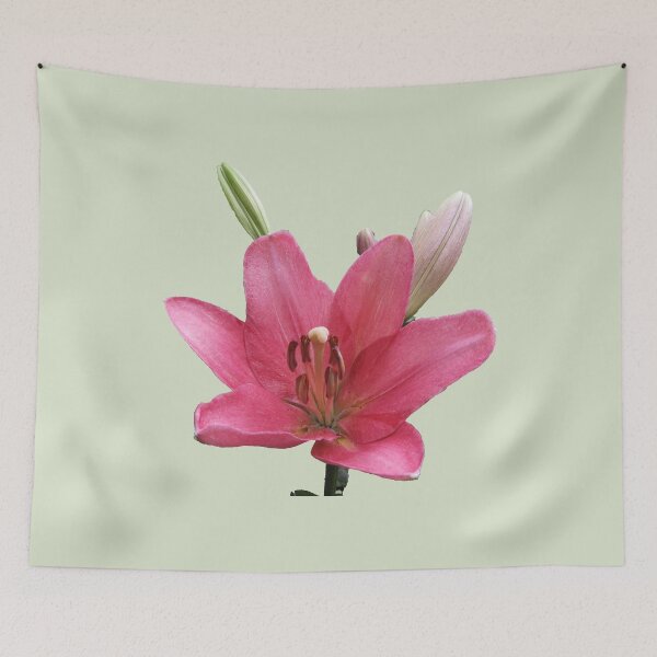 Item preview, Lilium designed and sold by indiafrankk.