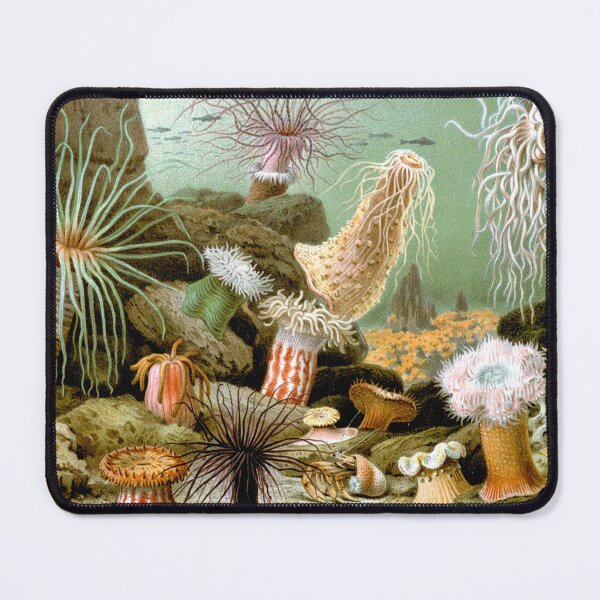 Item preview, Actiniaria designed and sold by linggalibrary.