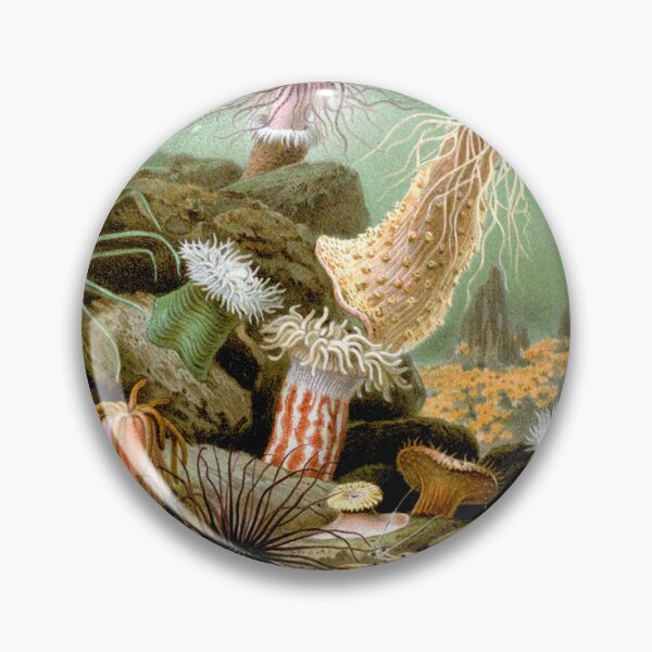 Item preview, Actiniaria designed and sold by linggalibrary.