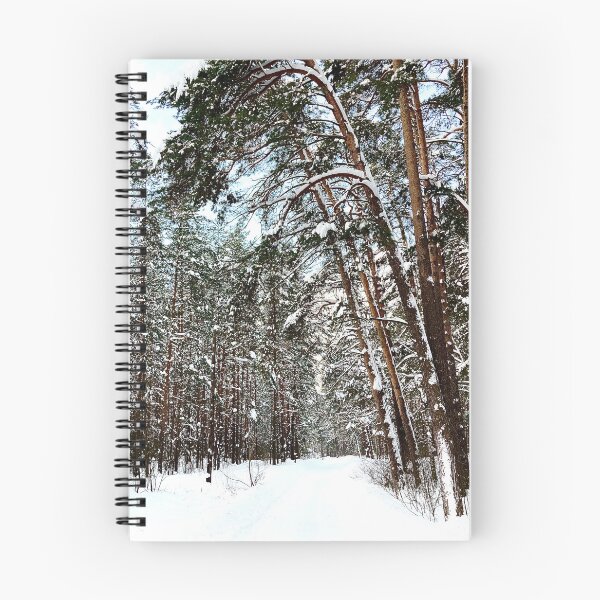 Item preview, View at the Striginsky Bor Forest Park in Nizhny Novgorod and its pine trees designed and sold by Kristina Drozd.
