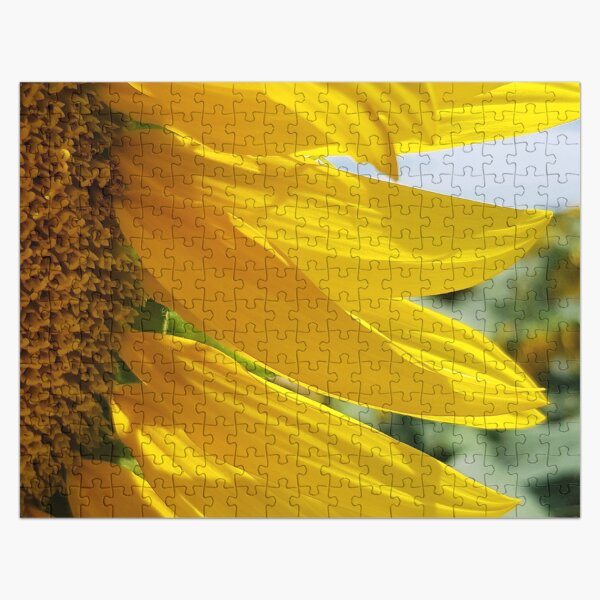 Artikel-Vorschau von Sonnenblume majestätisches Makro-Nahaufnahme-künstlerisches Foto, designt und verkauft von DEC02.