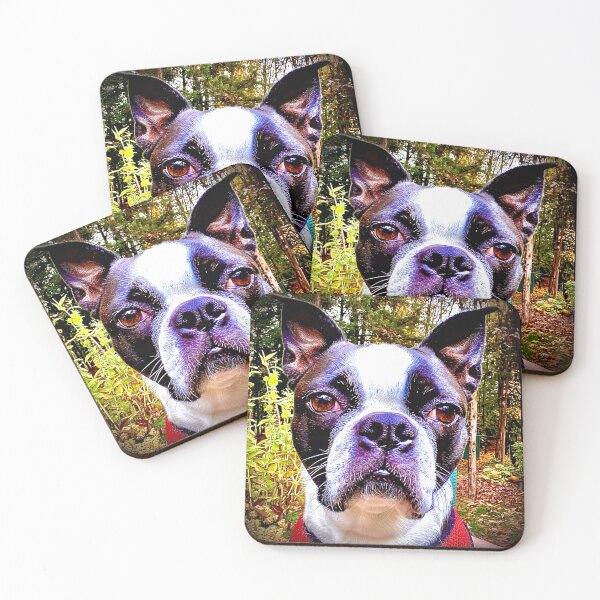 Item preview, Beautiful Boston designed and sold by Minnie777.