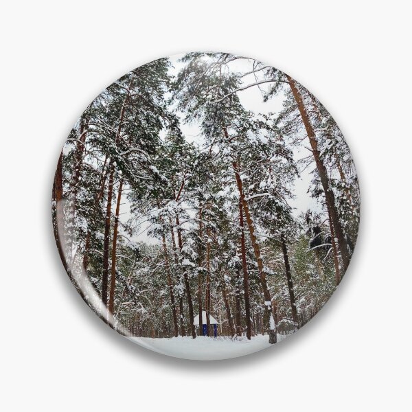 Item preview, View at the Striginsky Bor Forest Park in Nizhny Novgorod with pine trees, snow, building designed and sold by Kristina Drozd.