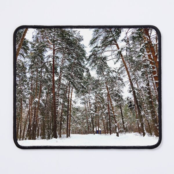 Item preview, View at the Striginsky Bor Forest Park in Nizhny Novgorod with pine trees, snow, building designed and sold by Kristina Drozd.