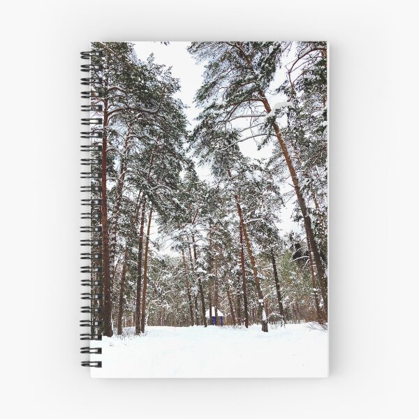 Item preview, View at the Striginsky Bor Forest Park in Nizhny Novgorod with pine trees, snow, building designed and sold by Kristina Drozd.
