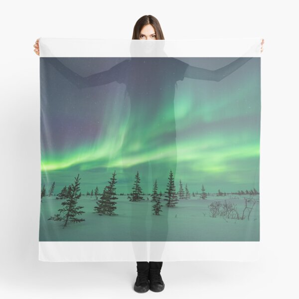 Aurora Borealis in the Frozen Tundra of Canada Scarf