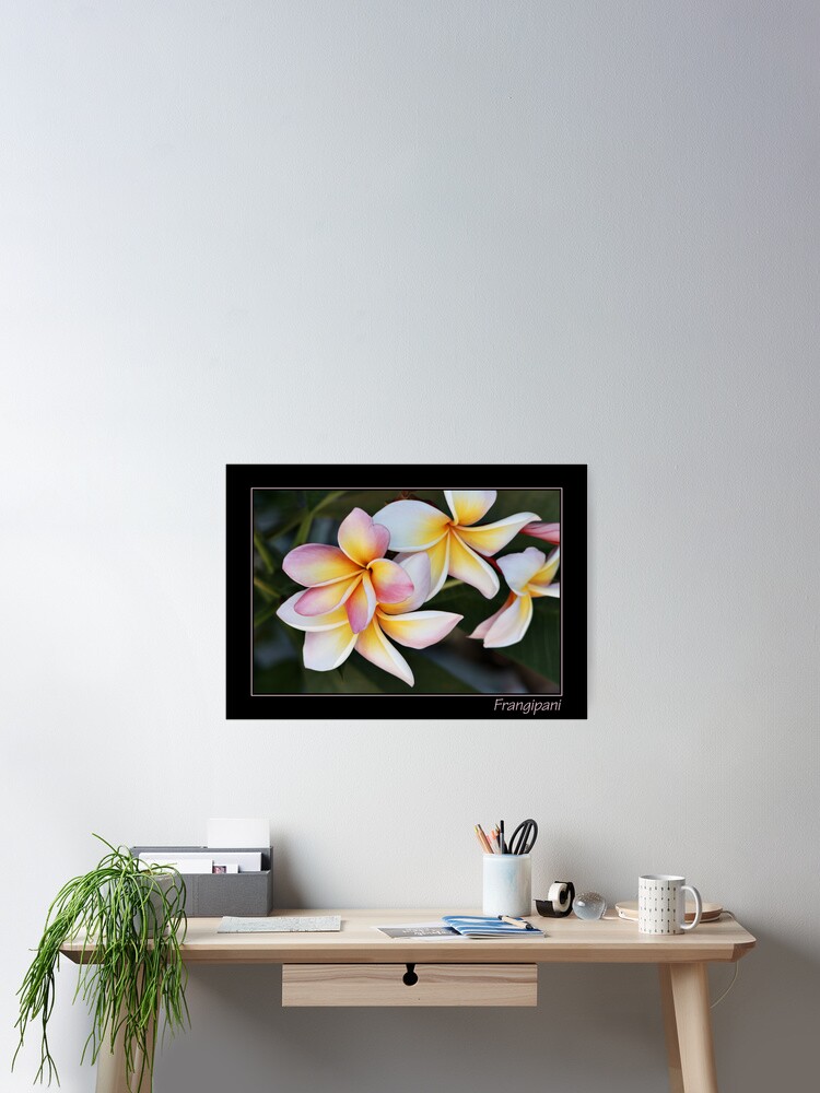 Thumbnail 2 of 3, Poster, Frangipani With Text designed and sold by pixplanet.