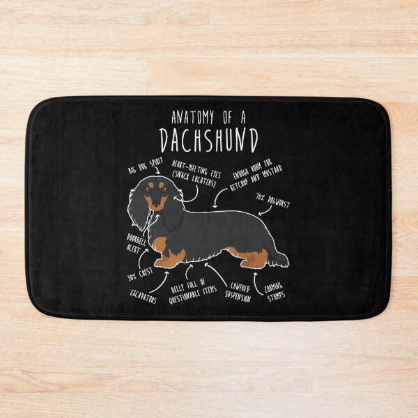 Item preview, Black and Tan Longhaired Dachshund Dog Anatomy designed and sold by Clara Hollins.
