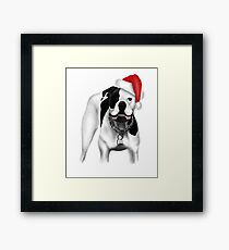 American Bulldog Christmas Framed Print