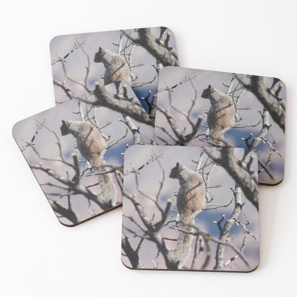 Item preview, Arizona squirrel  designed and sold by bmiller64.