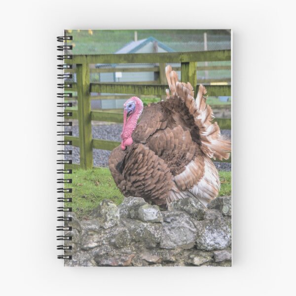 Item preview, Show Off............. Somerset UK designed and sold by lynn carter.