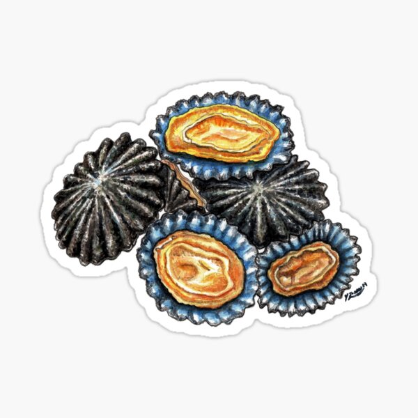 Item preview, Patella - Spanish Lapas Shellfish art for seafood lovers designed and sold by chloeyzoard.