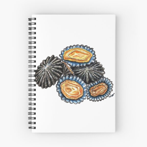 Item preview, Patella - Spanish Lapas Shellfish art for seafood lovers designed and sold by chloeyzoard.