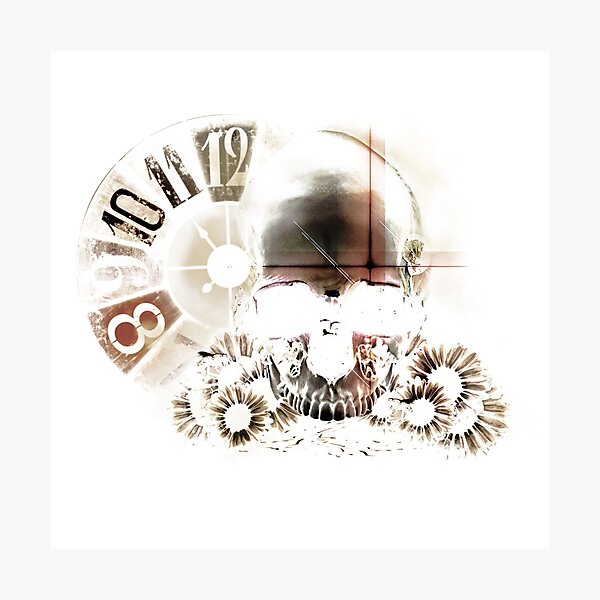 Skull 03 Impression photo