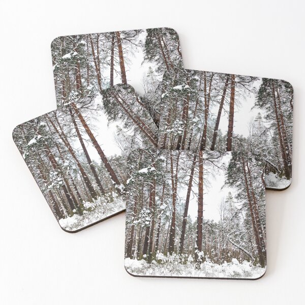 Item preview, Scene at the Striginsky Bor Forest Park in Nizhny Novgorod with pine trees, curved tree, bushes designed and sold by Kristina Drozd.