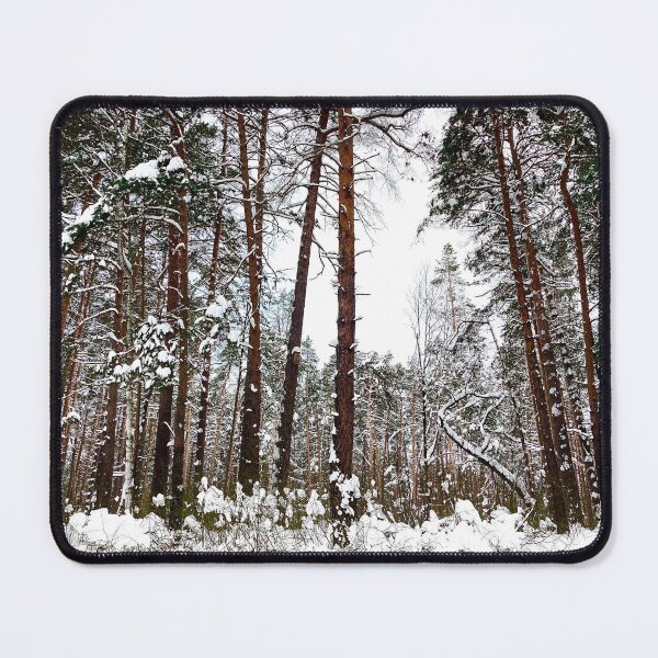 Item preview, Scene at the Striginsky Bor Forest Park in Nizhny Novgorod with pine trees, curved tree, bushes designed and sold by Kristina Drozd.