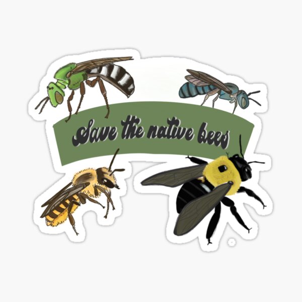 Save the native bees Sticker