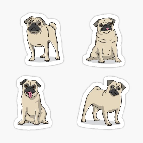 Pug sticker set Sticker