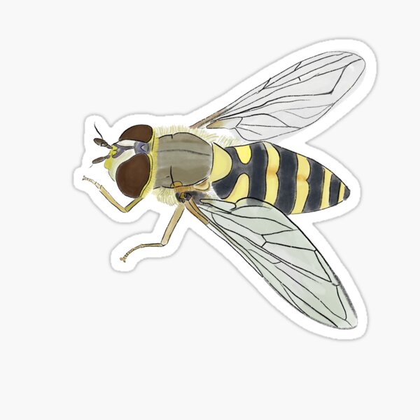 Item preview, Flower fly designed and sold by Samm Reynolds.