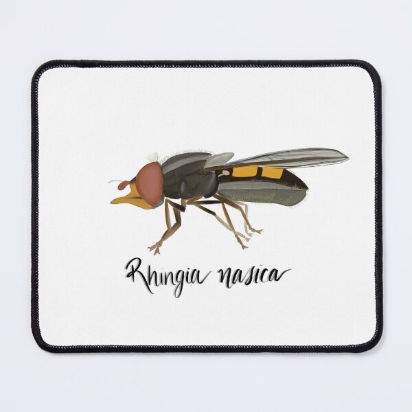 Item preview, Rhingia nasica designed and sold by Samm Reynolds.