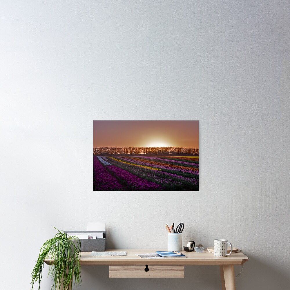 Item preview, Poster designed and sold by KimOgdenPhotos.