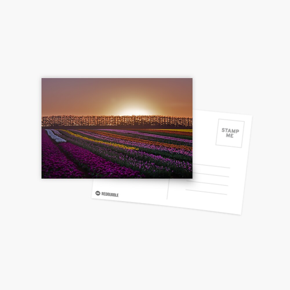 Item preview, Postcard designed and sold by KimOgdenPhotos.