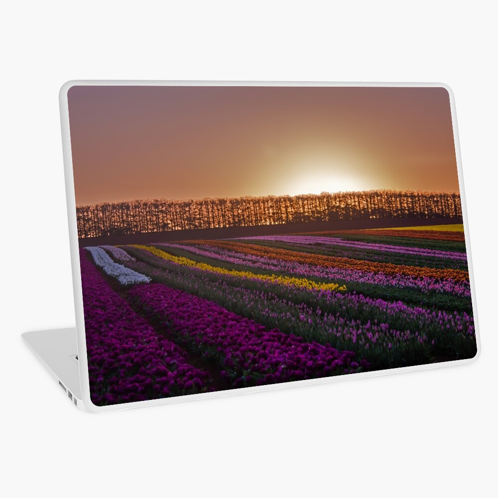 Item preview, Laptop Skin designed and sold by KimOgdenPhotos.