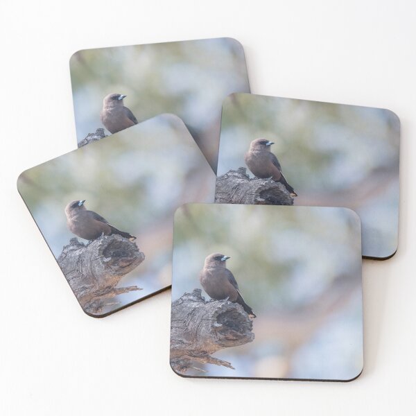 Item preview, Dusky Woodswallow designed and sold by Puttaswamy Ravishankar.