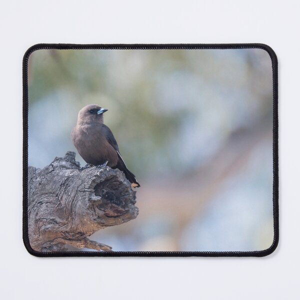 Item preview, Dusky Woodswallow designed and sold by Puttaswamy Ravishankar.