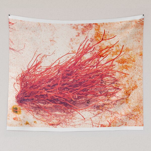 Item preview, like a coral designed and sold by TessAndre.