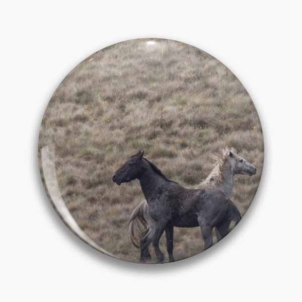 Item preview, Brumbies of Australia designed and sold by Puttaswamy Ravishankar.