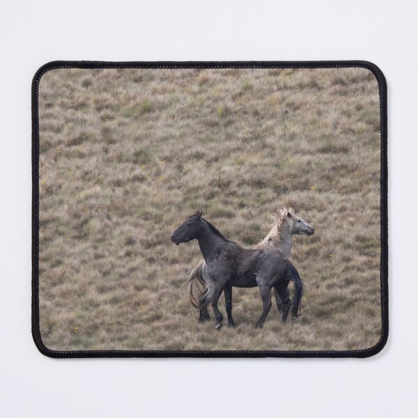 Item preview, Brumbies of Australia designed and sold by Puttaswamy Ravishankar.